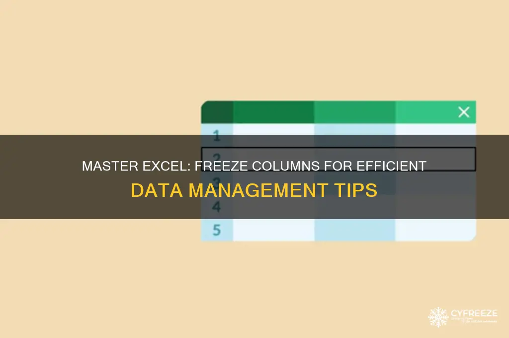 how to use freeze column excel