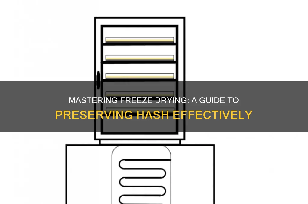 how to use freeze dryer for hash