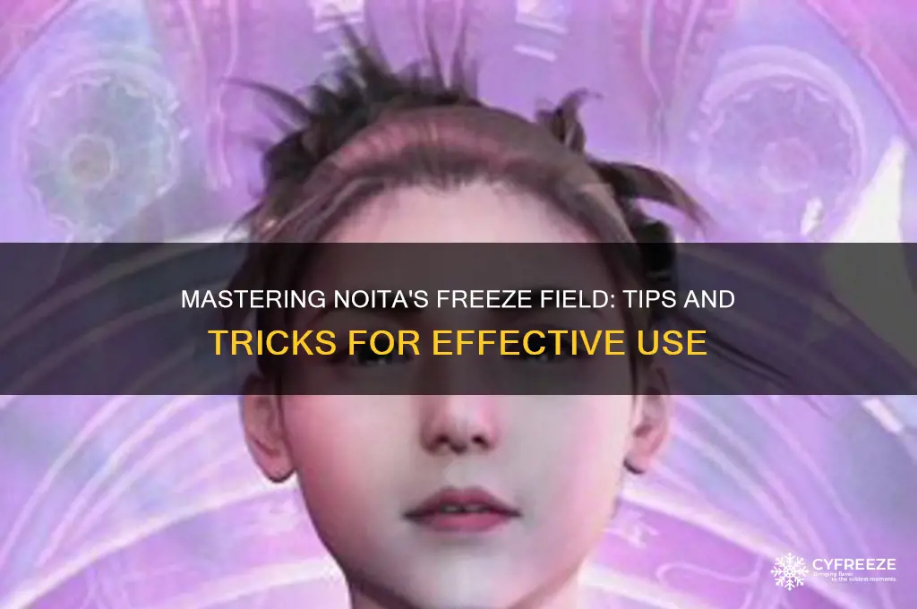 how to use freeze feild noita