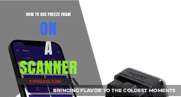 Mastering Freeze Frame Data: A Step-by-Step Scanner Guide
