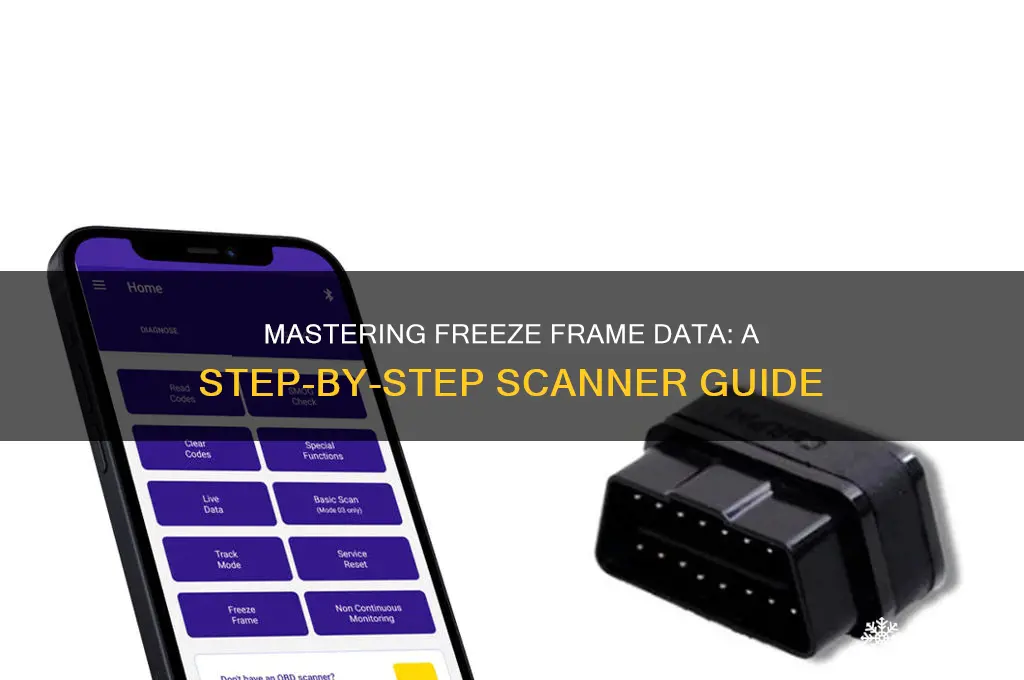 how to use freeze fram on a scanner