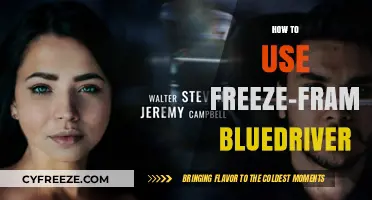 Mastering Freeze-Frame with BlueDriver: A Step-by-Step Diagnostic Guide