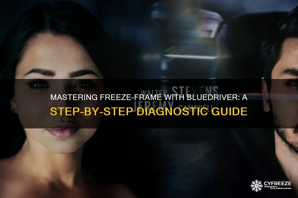 how to use freeze-frame bluedriver