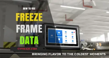 Mastering Freeze Frame Data: A Step-by-Step Guide for Effective Use
