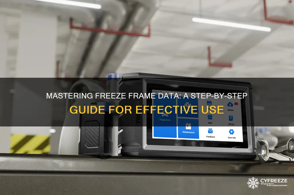 how to use freeze frame data