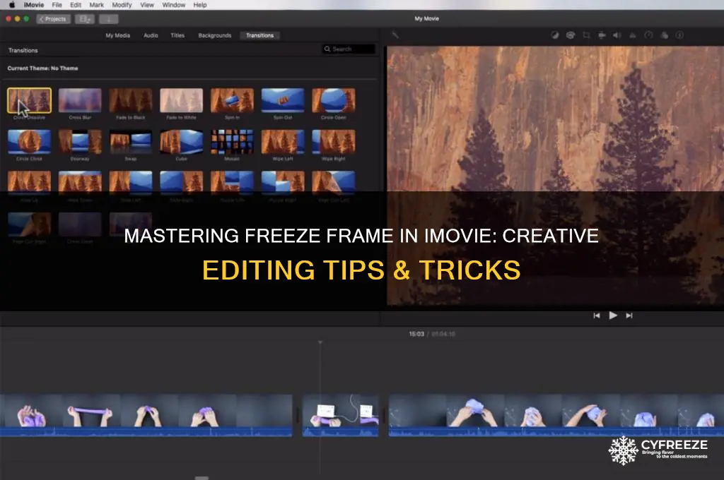 how to use freeze frame imovie