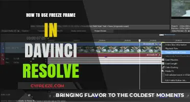Mastering Freeze Frame in DaVinci Resolve: A Step-by-Step Guide