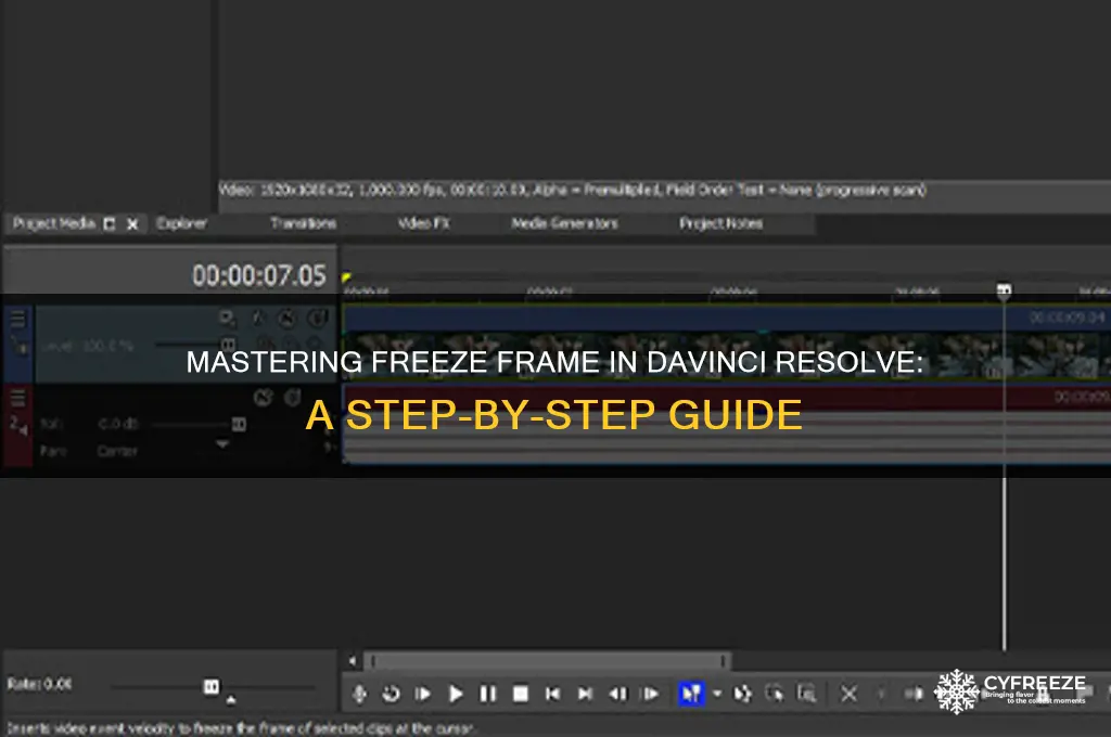 how to use freeze frame in davinci resolve