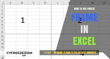Master Excel's Freeze Frame Feature: A Step-by-Step Guide
