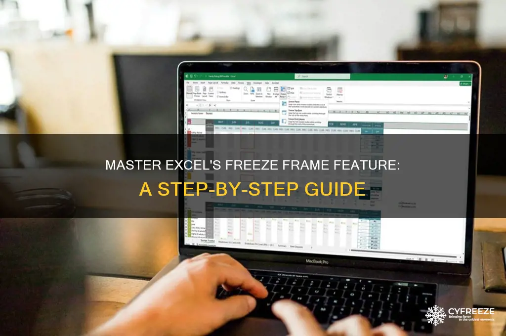 how to use freeze frame in excel