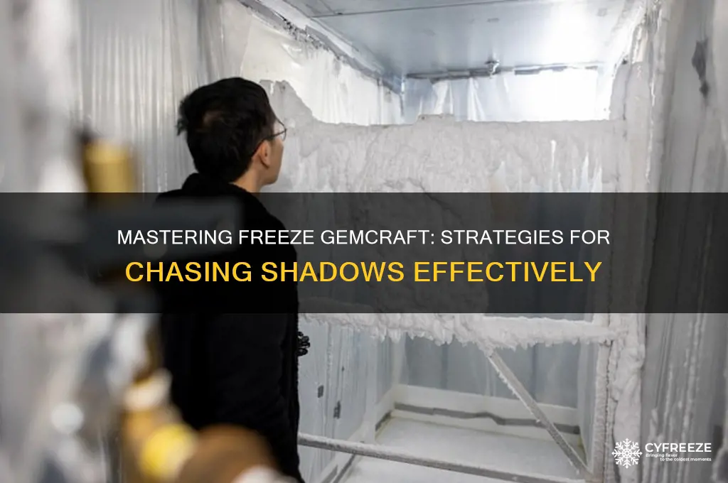 how to use freeze gemcraft chasing shadows