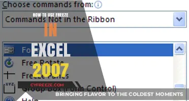 Mastering Excel 2007: A Guide to Using the Freeze Feature