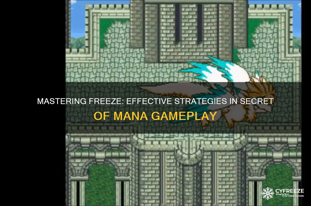 how to use freeze in secret of mana
