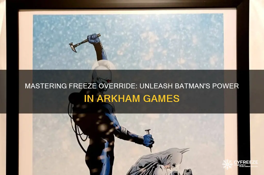 how to use freeze overide batman