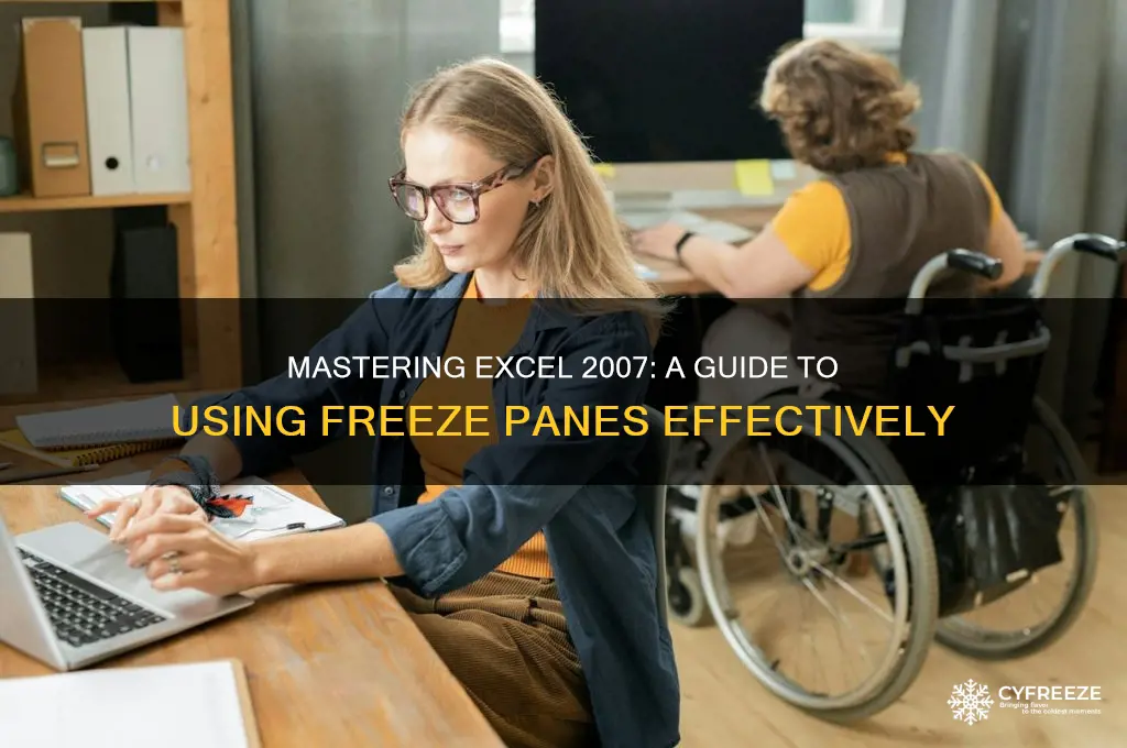 how to use freeze pane option in excel 2007