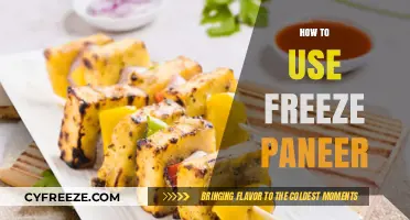 Mastering Freeze Paneer: Tips for Perfect Storage and Usage