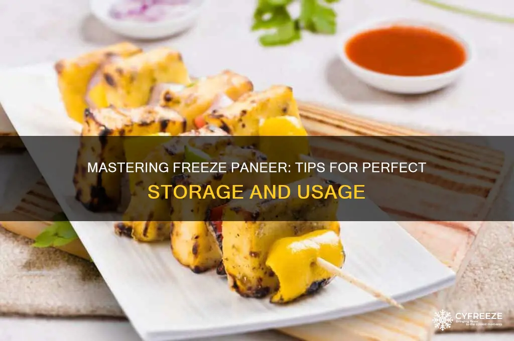 how to use freeze paneer