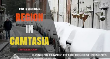 Mastering Camtasia's Freeze Region Tool for Enhanced Video Editing