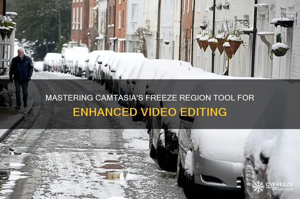 how to use freeze region in camtasia