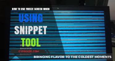 Mastering Snippet Tool: Freeze Screen Feature for Efficient Captures