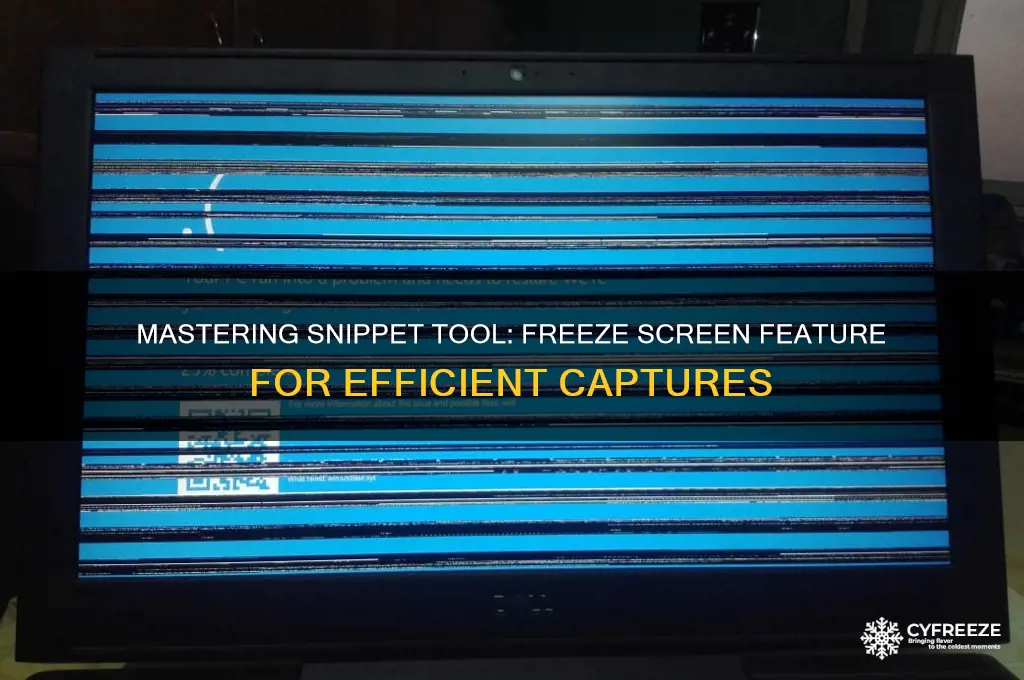 how to use freeze screen when using snippet tool