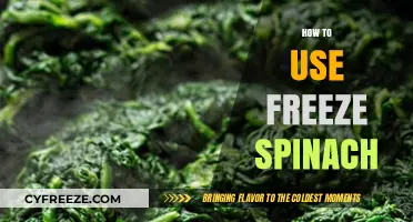 Mastering Frozen Spinach: Easy Tips for Delicious, Nutrient-Packed Meals