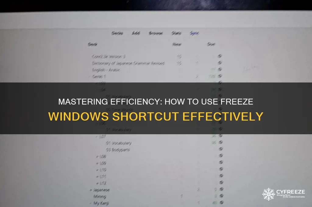 how to use freeze windoss shortcut