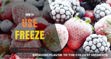 Mastering Freeze: Effective Techniques for Food Preservation and Storage