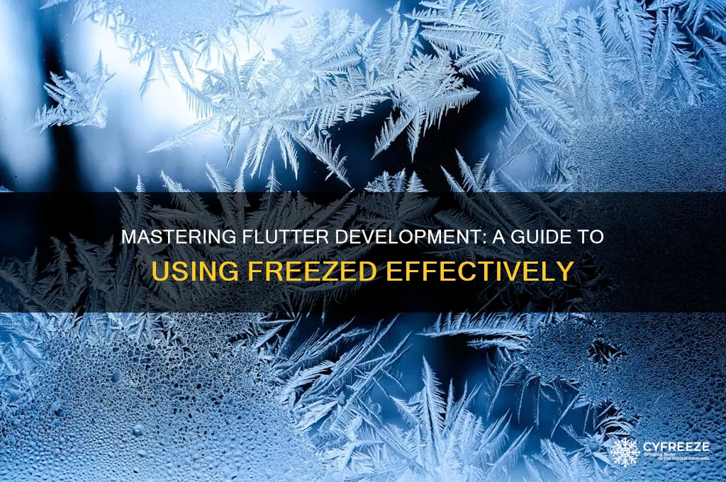 how to use freezed flutter