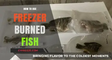Reviving Freezer-Burned Fish: Creative Tips for Tasty, Safe Meals