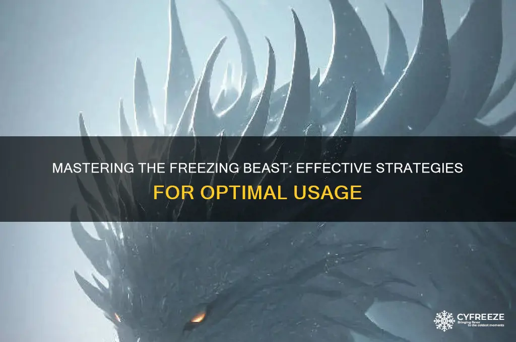 how to use freezing beast