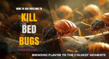 Freeze and Eliminate: Effective Bed Bug Eradication Techniques Revealed