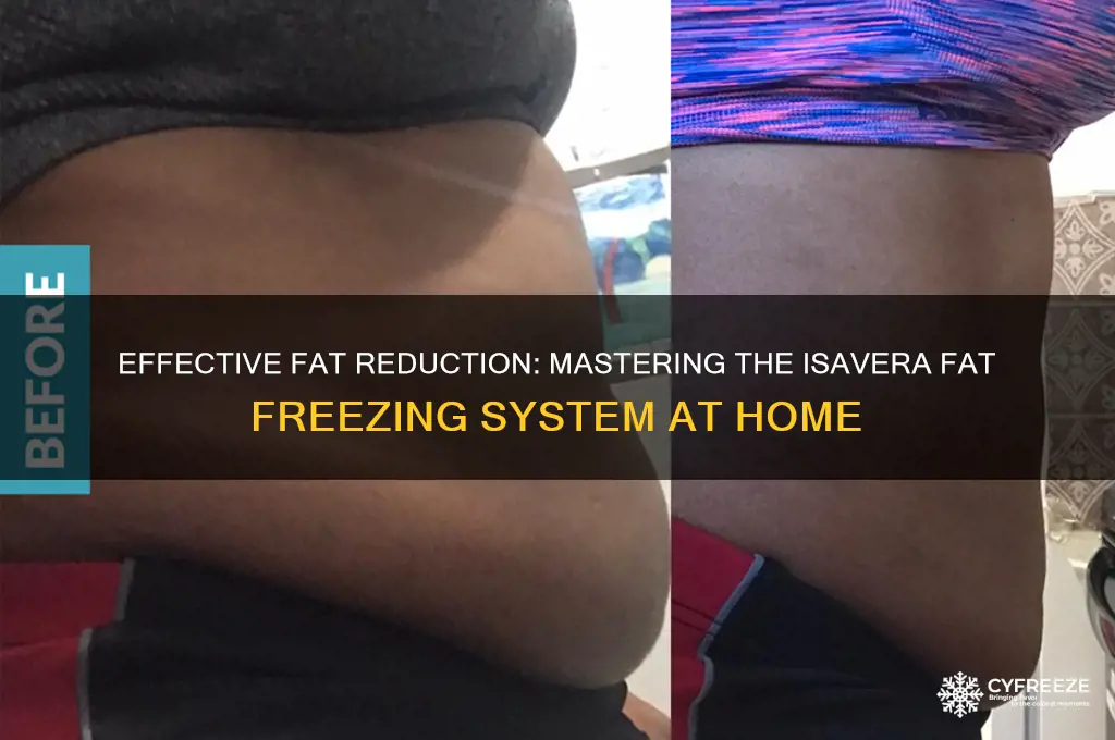 how to use isavera fat freezing system