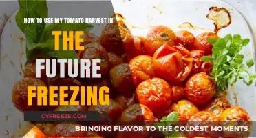 Preserve Your Tomato Harvest: Future Freezing Tips and Tricks