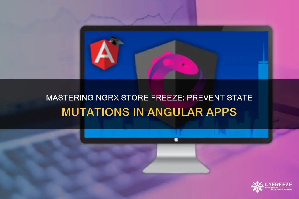 how to use ngrx-store-freeze