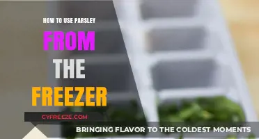 Revive Frozen Parsley: Simple Tips for Flavorful, Fresh-Like Results