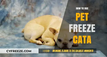 Mastering Pet Freeze Cata: Effective Techniques for Pet Owners