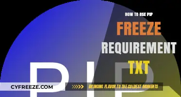Mastering Pip Freeze: Creating and Managing Requirements.txt Files