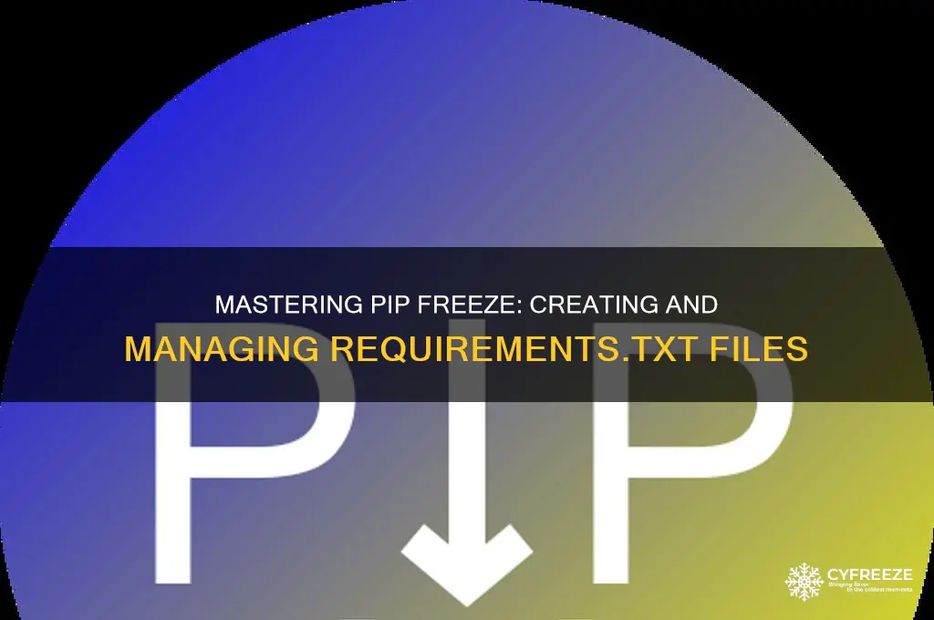 how to use pip freeze requirements txt