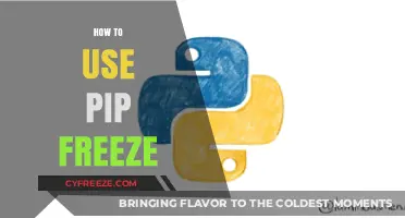 Mastering Pip Freeze: Efficiently Manage Python Dependencies in Projects