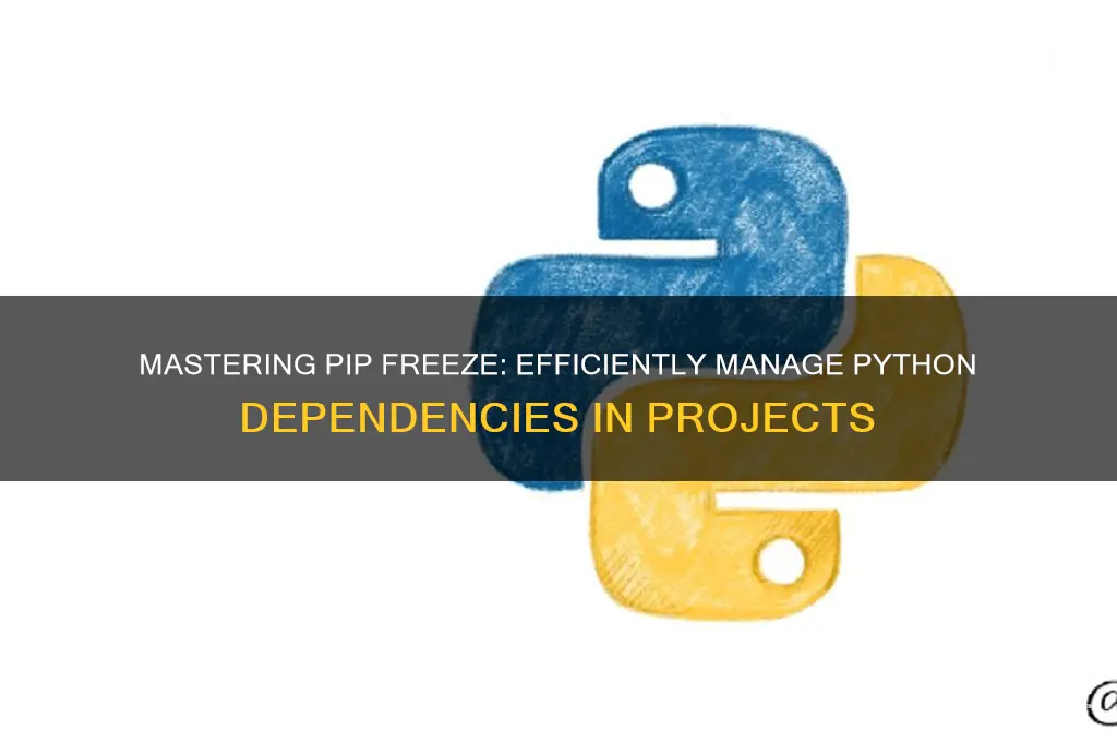 how to use pip freeze