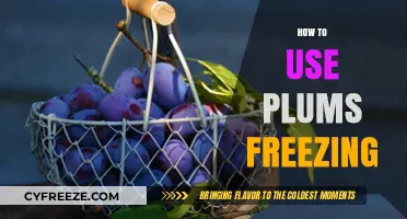 Master Plum Freezing: Easy Tips for Preserving Freshness at Home