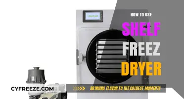Mastering Shelf Freeze Drying: A Step-by-Step Guide for Beginners