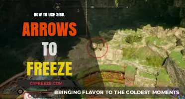 Master Sigil Arrows: Techniques to Freeze Enemies in Combat