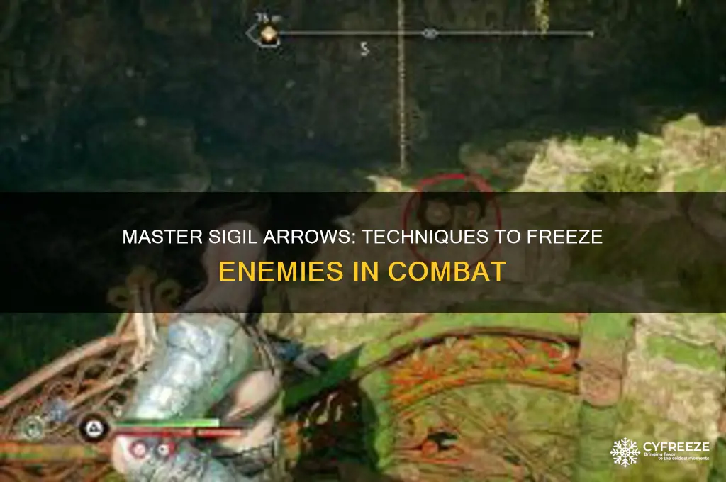 how to use sigil arrows to freeze