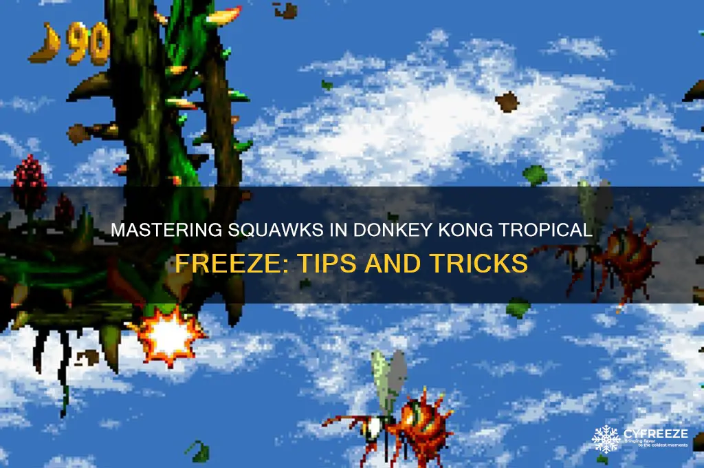 how to use squawks in donkey kong tropical freeze