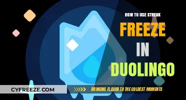 Mastering Duolingo: How to Use Streak Freeze Effectively