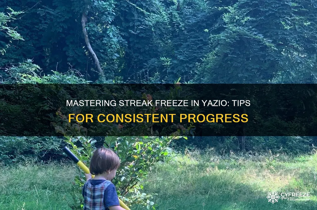 how to use streak freeze yazio