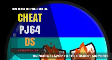 Mastering PJ64 DS: Freeze Camera Cheat Guide for Gamers