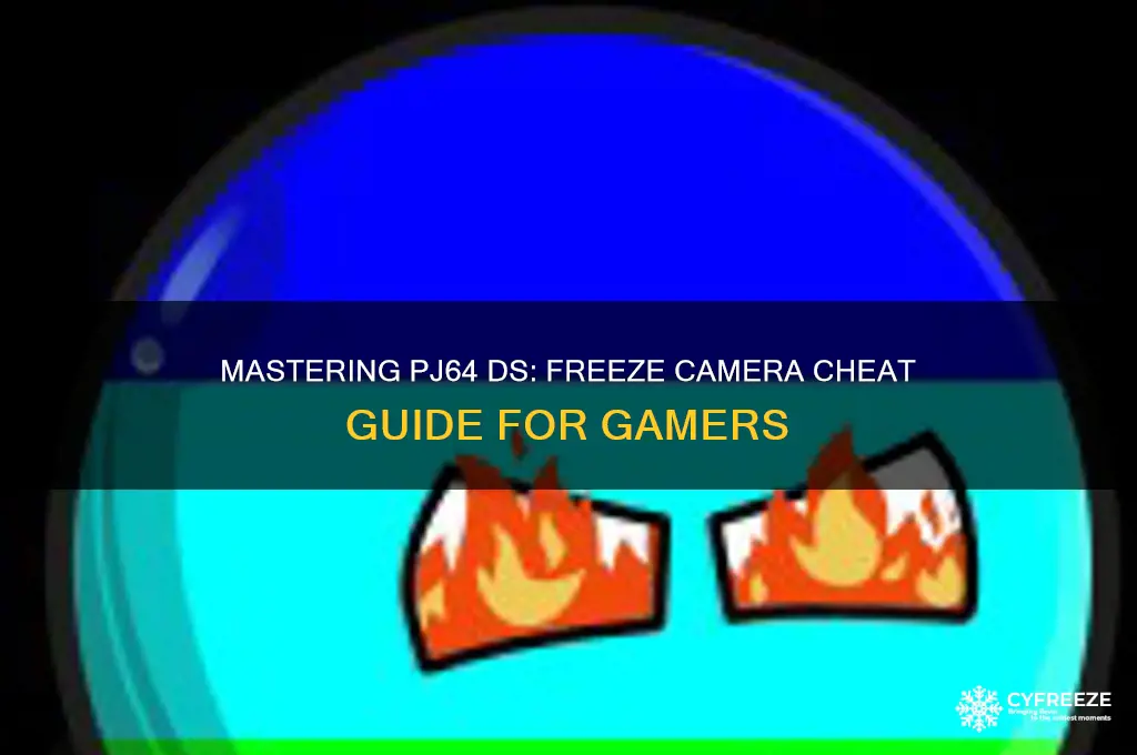 how to use the freeze camera cheat pj64 ds